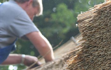 professional Treator thatchers