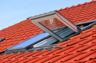 Treator roof window