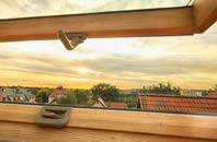 rated Treator roof window companies